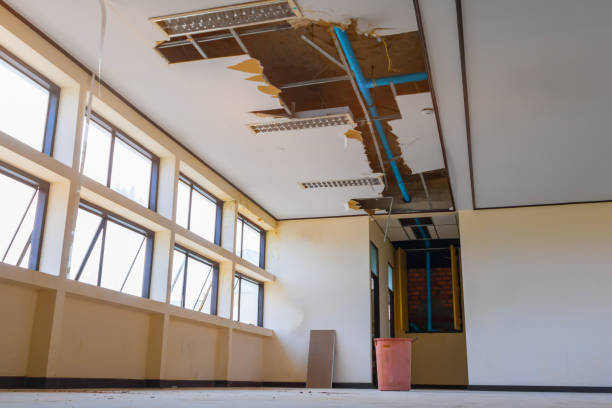 Best Mold removal after water damage  in Mahtomedi, MN