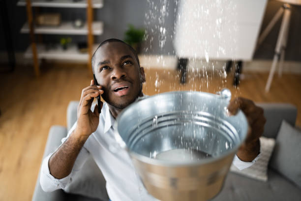 Best Professional water damage repair  in Mahtomedi, MN