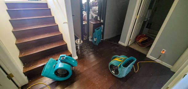 Carpet water damage restoration in MN