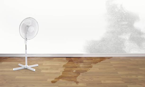 Best 24/7 water damage repair  in Mahtomedi, MN