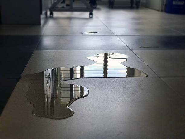 Best Water damage cleanup near me  in Mahtomedi, MN