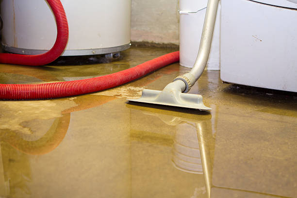  Mahtomedi, MN Water damage restoration Pros