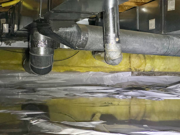Best Ceiling water damage repair  in Mahtomedi, MN