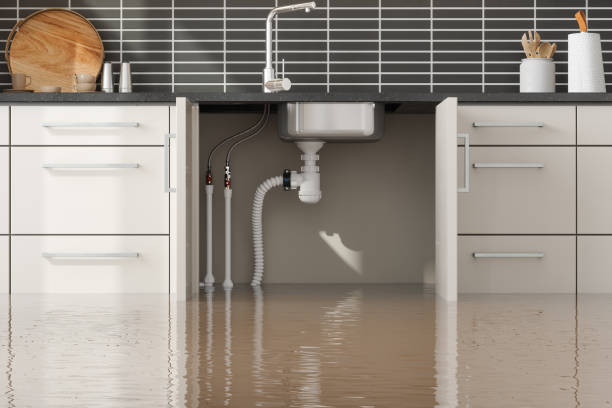 , MN Water damage restoration Company