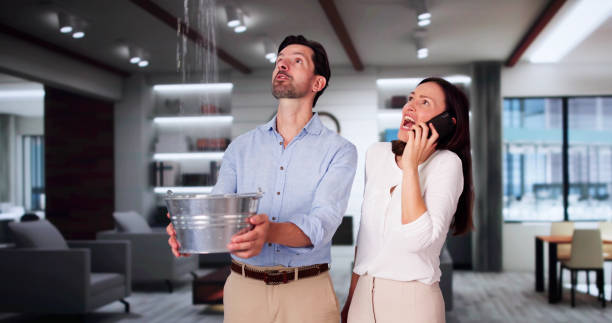 Best Water damage restoration near me  in Mahtomedi, MN